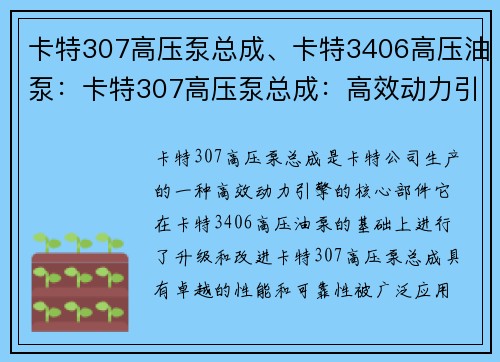 卡特307高压泵总成、卡特3406高压油泵：卡特307高压泵总成：高效动力引擎的核心